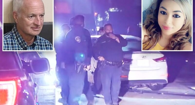 California doctorâs light sentence for deadly hit-and-run sparks outrage